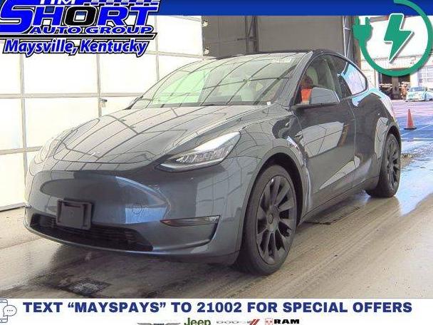 TESLA MODEL Y 2021 5YJYGDEE3MF189695 image